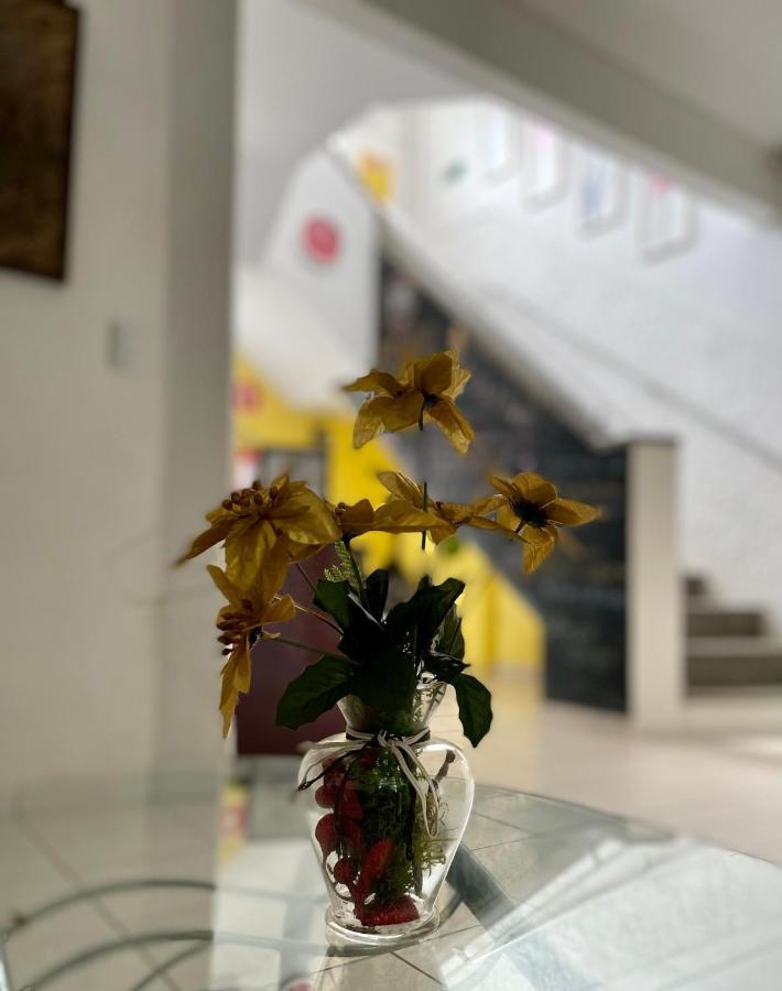 Hotel Blumenau Centro クリチバ エクステリア 写真